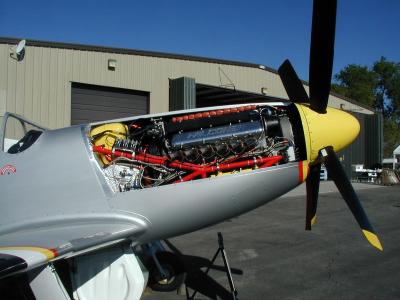 Sport - Thunder Mustang Completed and Flying